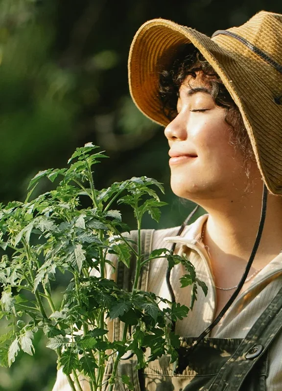 We grow fresh, organic produce using clean methods that protect nature, healthy food.