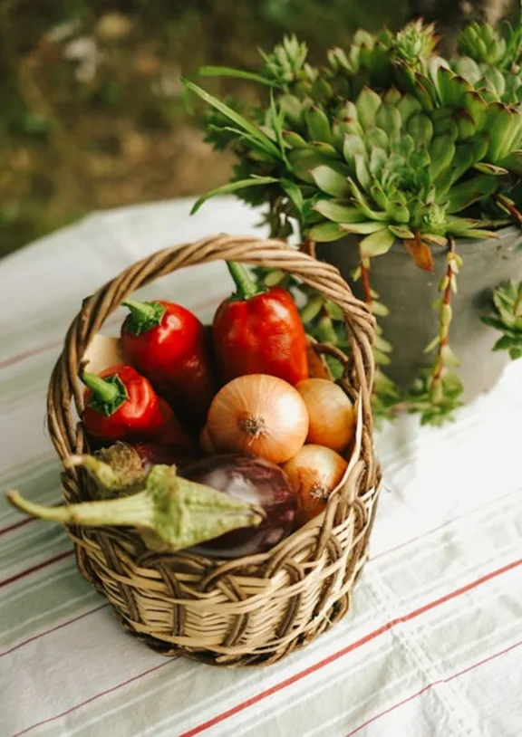 We grow fresh, organic produce using clean methods that protect nature, healthy food.